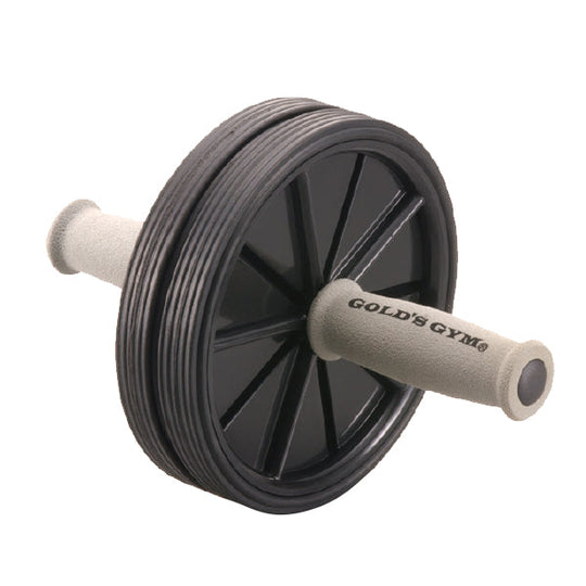 GOLD'S GYM(ゴールドジム) T5500 フィットネスローラー