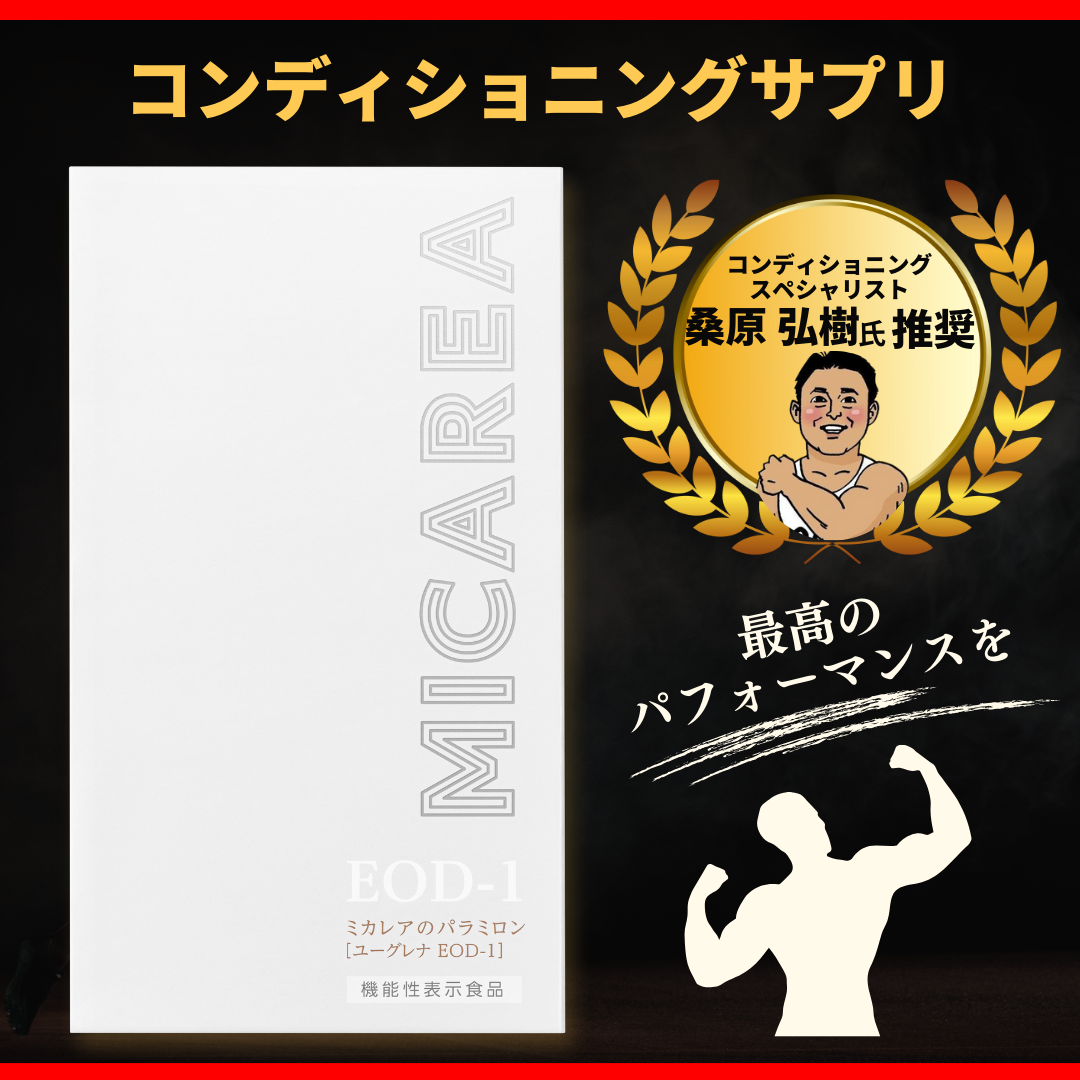 ミカレア パラミロン×10 ミカレアのパラミロン ミカレア パラミロン×10 ミカレアのパラミロン