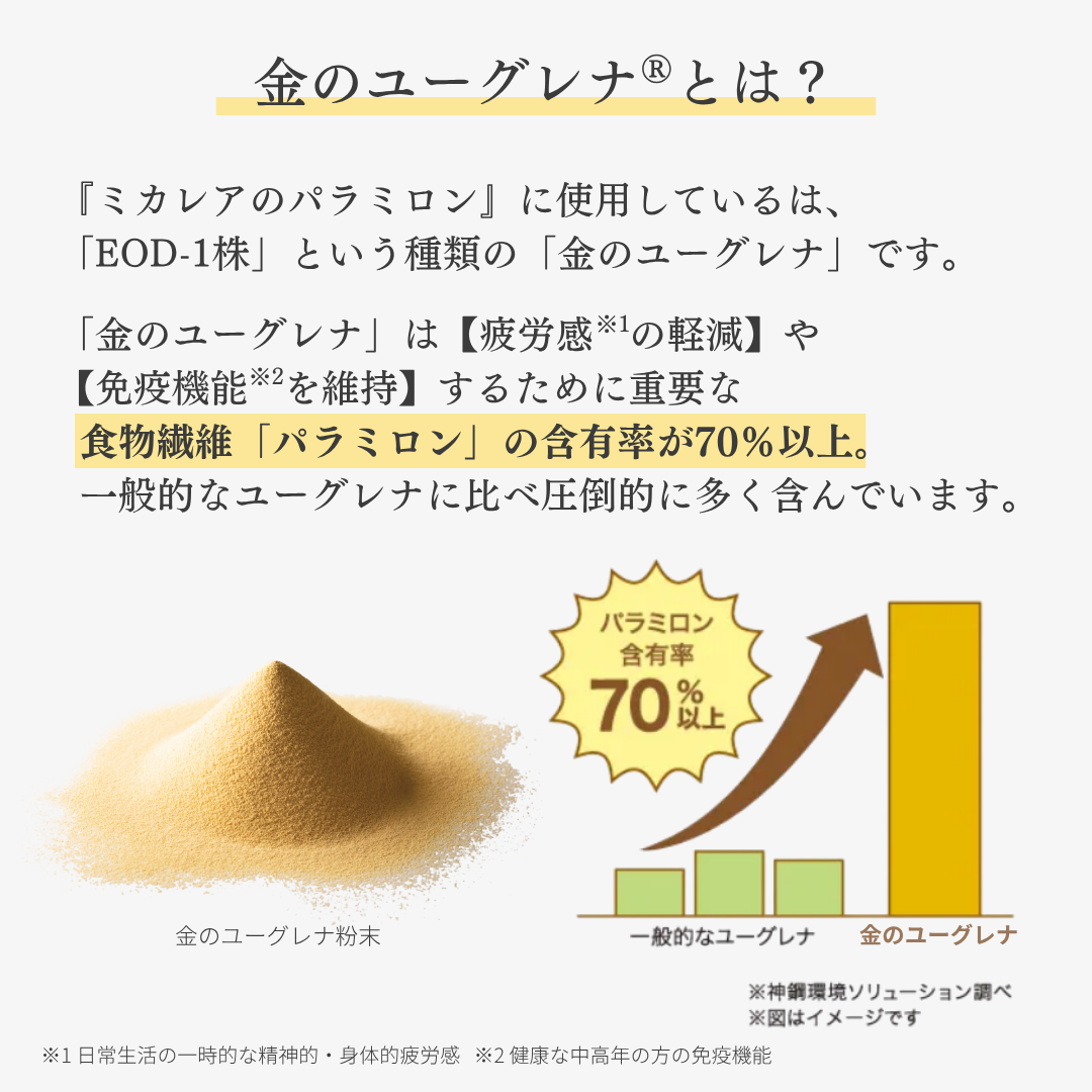 ミカレアのパラミロン 60粒(約30日分)<機能性表示食品 ミカレアのパラミロン 60粒(約30日分)<機能性表示食品