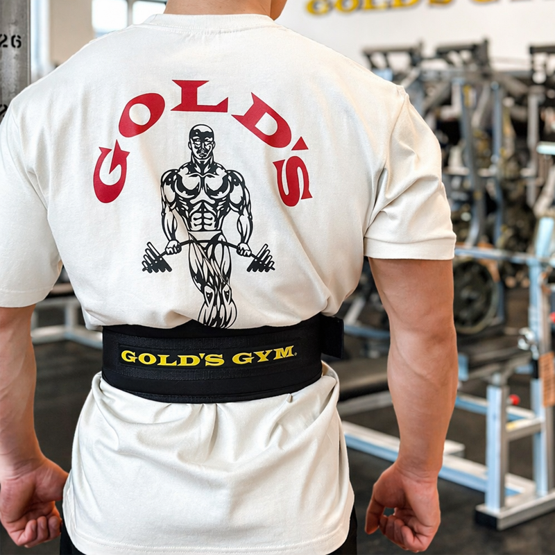 GOLD'S GYM (ゴールドジム) G3336 フィットネスベルト – フィットネス GOLD'S GYM (ゴールドジム) G3336 フィットネスベルト – フィットネス