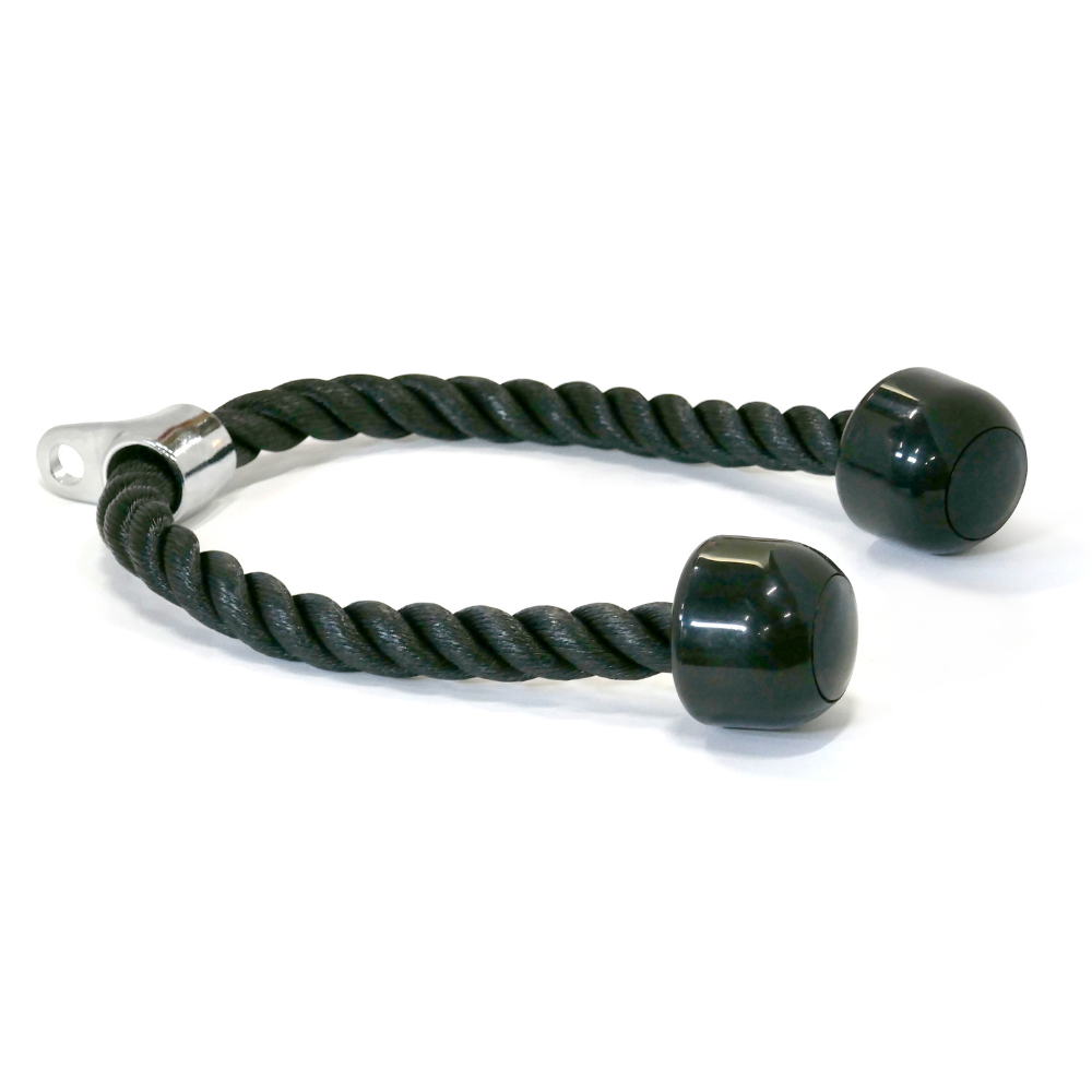 ALEX(アレックス) ARCB-28 リボルヴィングカールバー – フィットネス