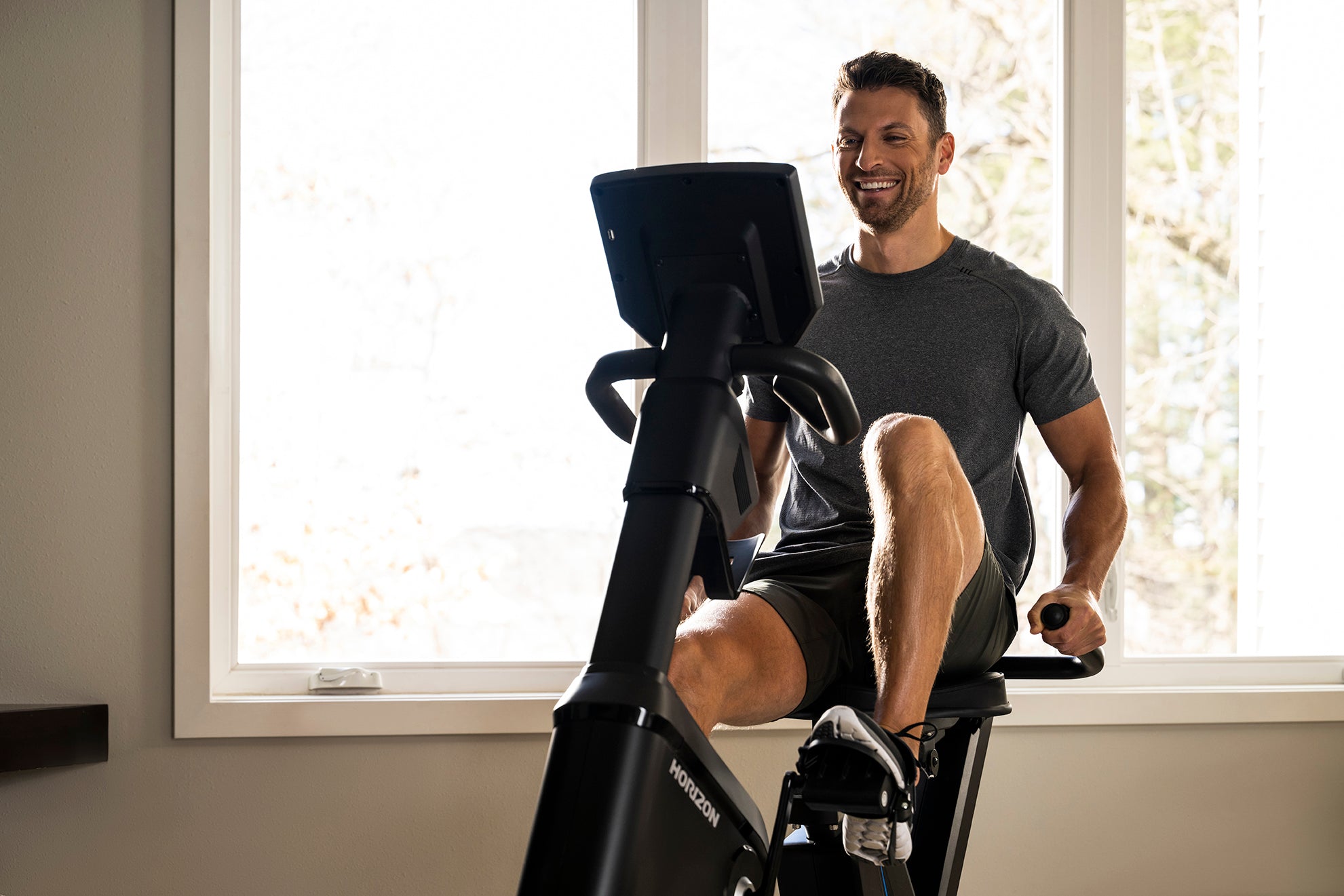 ジョンソン HORIZON(ホライズン) 5.0R リカンベントバイク