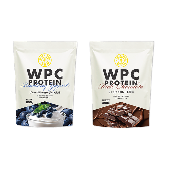 GOLD'S GYM (ゴールドジム) WPCホエイプロテイン 800g – フィットネス GOLD'S GYM (ゴールドジム) WPCホエイプロテイン 800g – フィットネス