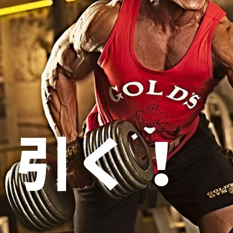 GOLD'S GYM (ゴールドジム) G3710 パワーグリップ PRO – フィットネス ...